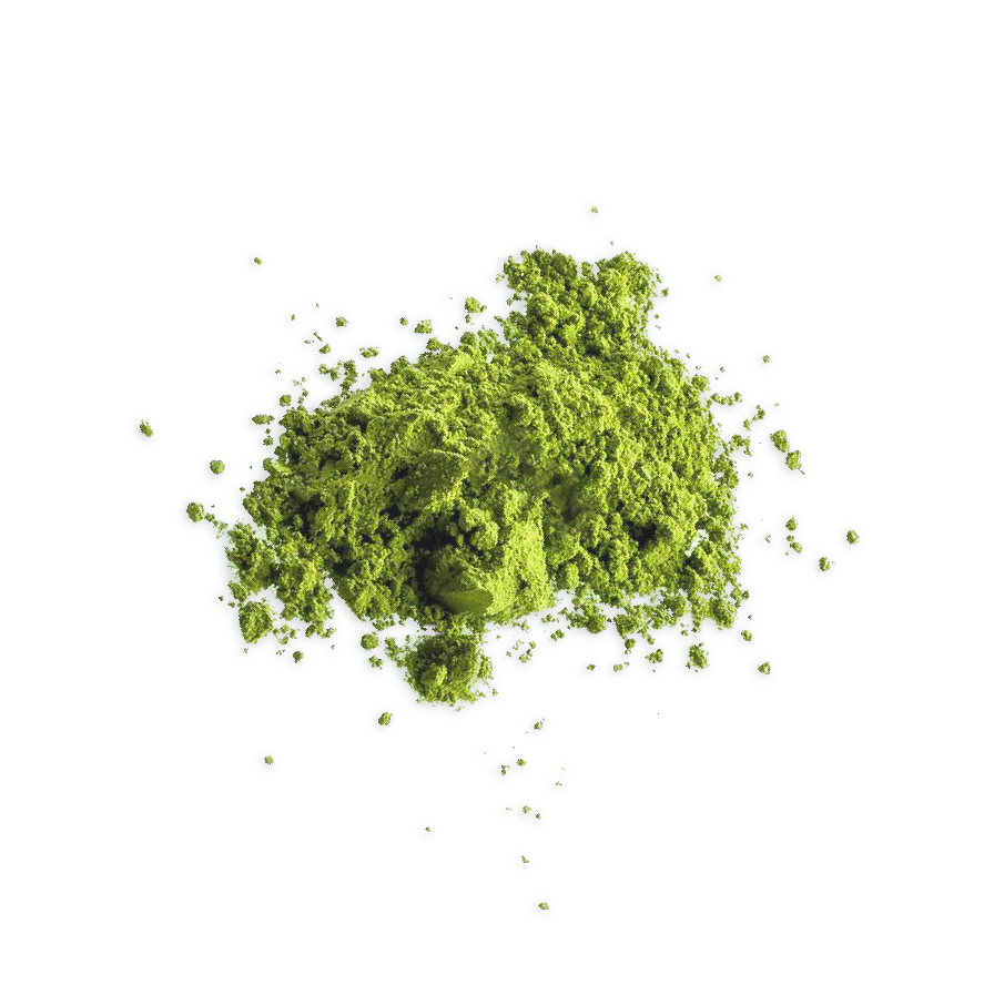 Bright green L-theanine powder ingredient in Tavo LiquidCalm liquid calm to smooth out wired, jittery feelings.