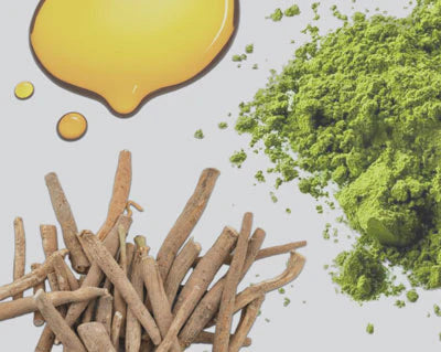 Close-up of oils, powders and botanical roots representing the science-led ingredients in Tavo LiquidCalm liquid calm and LiquidHydrate liquid hydrate.
