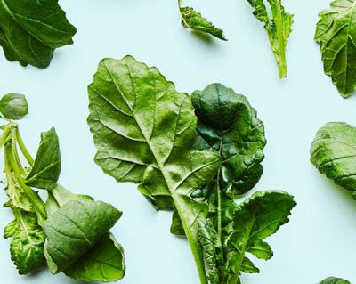 Fresh green ingredients representing the clean formulas in Tavo LiquidCalm liquid calm and LiquidHydrate liquid hydrate drink mixes.